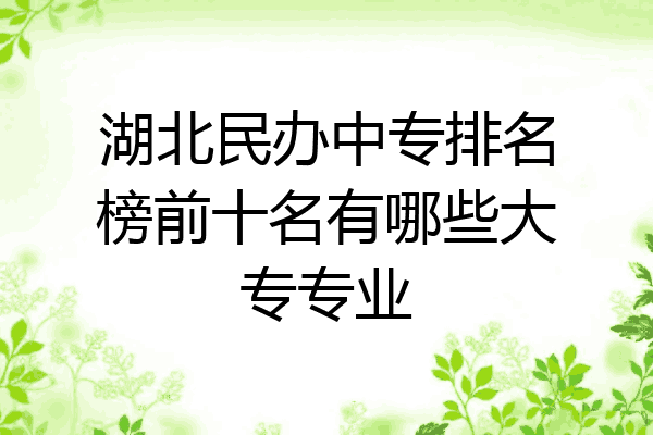 湖北民办中专排名榜前十名有哪些大专专业