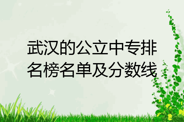 武汉的公立中专排名榜名单及分数线