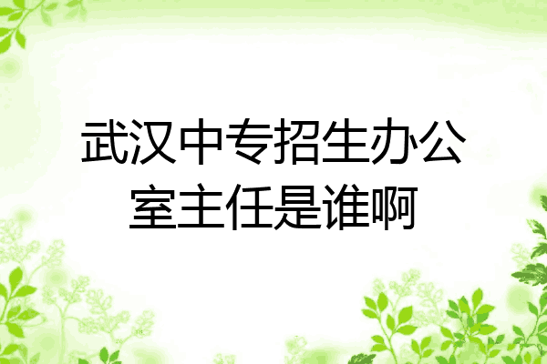 武汉中专招生办公室主任是谁啊