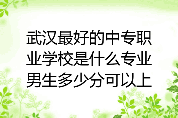 武汉最好的中专职业学校是什么专业男生多少分可以上
