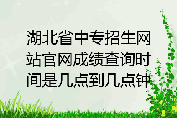 湖北省中专招生网站官网成绩查询时间是几点到几点钟