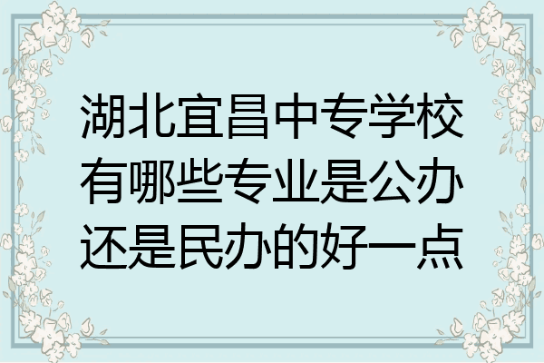 湖北宜昌中专学校有哪些专业是公办还是民办的好一点