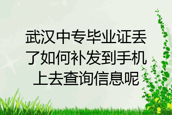武汉中专毕业证丢了如何补发到手机上去查询信息呢