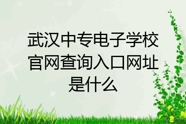 武汉中专电子学校官网查询入口网址是什么