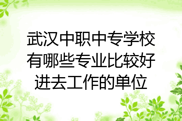 武汉中职中专学校有哪些专业比较好进去工作的单位