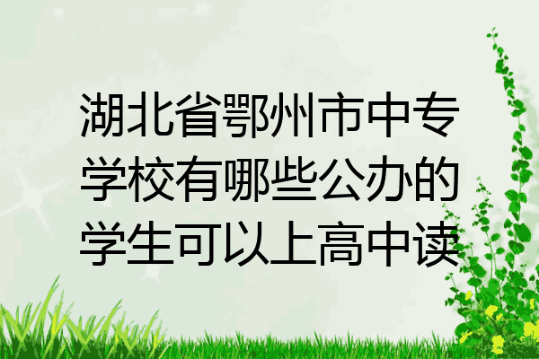 湖北省鄂州市中专学校有哪些公办的学生可以上高中读
