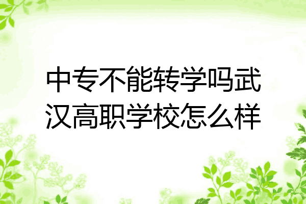 中专不能转学吗武汉高职学校怎么样