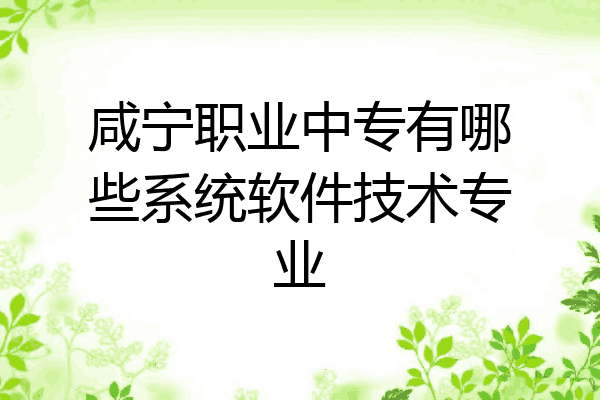 咸宁职业中专有哪些系统软件技术专业