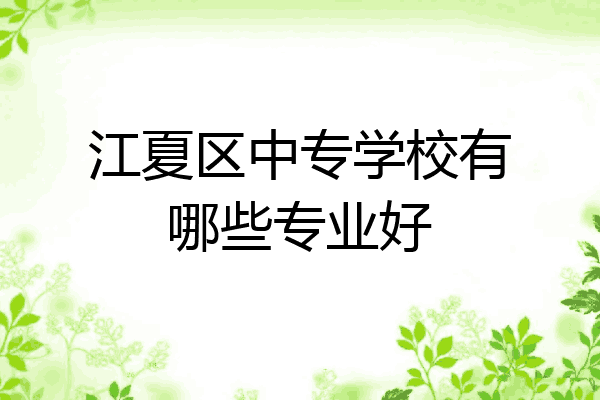 江夏区中专学校有哪些专业好