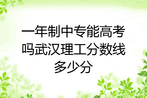 一年制中专能高考吗武汉理工分数线多少分