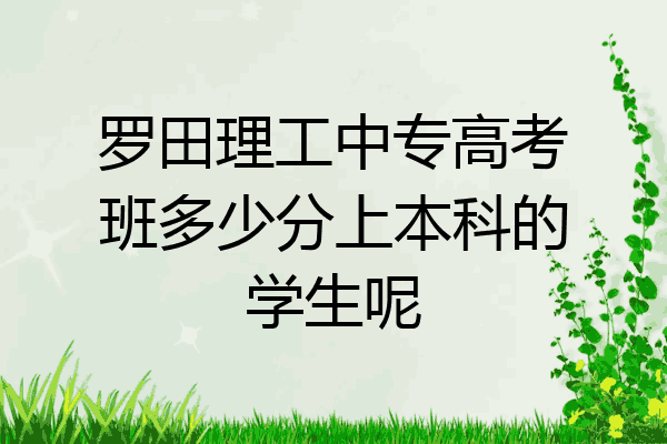 罗田理工中专高考班多少分上本科的学生呢