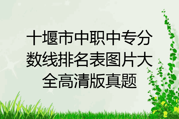 十堰市中职中专分数线排名表图片大全高清版真题