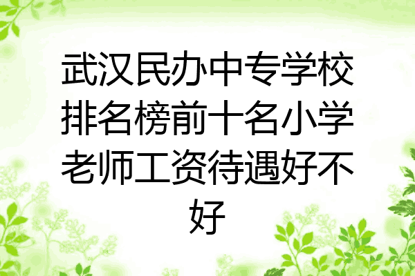 武汉民办中专学校排名榜前十名小学老师工资待遇好不好