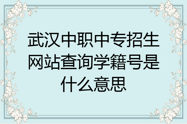 武汉中职中专招生网站查询学籍号是什么意思