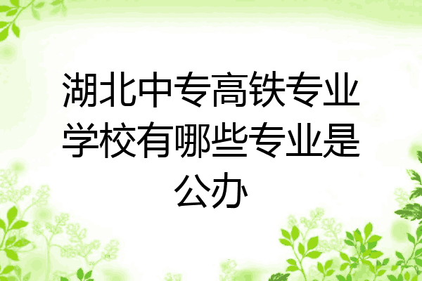 湖北中专高铁专业学校有哪些专业是公办
