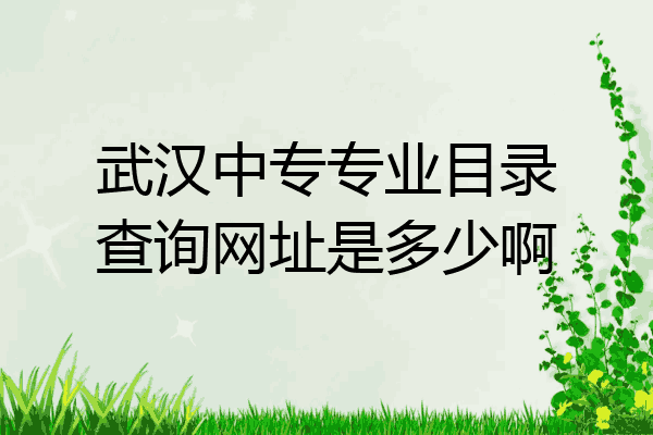武汉中专专业目录查询网址是多少啊