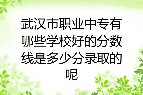 武汉市职业中专有哪些学校好的分数线是多少分录取的呢