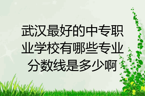 武汉最好的中专职业学校有哪些专业分数线是多少啊