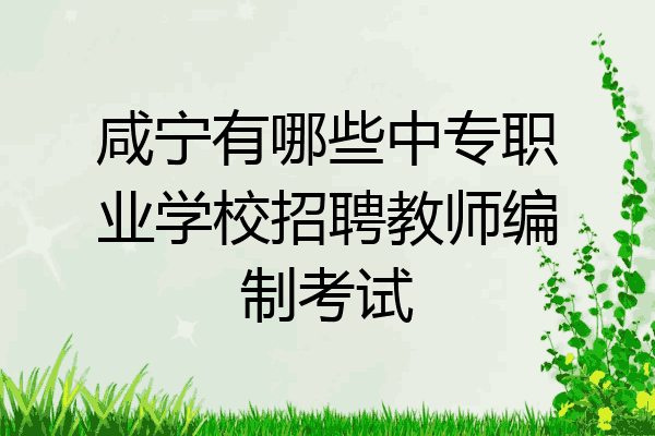 咸宁有哪些中专职业学校招聘教师编制考试