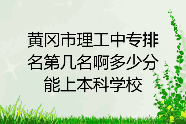 黄冈市理工中专排名第几名啊多少分能上本科学校