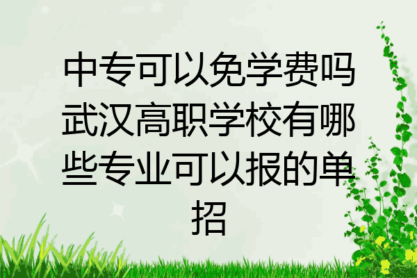 中专可以免学费吗武汉高职学校有哪些专业可以报的单招