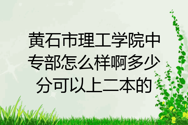 黄石市理工学院中专部怎么样啊多少分可以上二本的