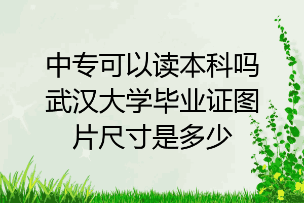 中专可以读本科吗武汉大学毕业证图片尺寸是多少