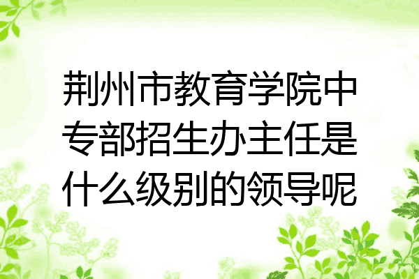 荆州市教育学院中专部招生办主任是什么级别的领导呢