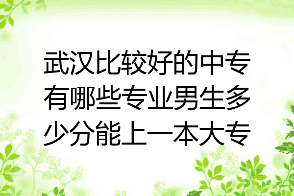 武汉比较好的中专有哪些专业男生多少分能上一本大专