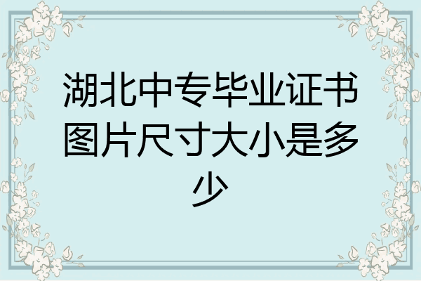 湖北中专毕业证书图片尺寸大小是多少