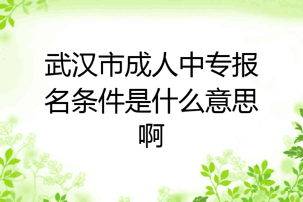 武汉市成人中专报名条件是什么意思啊