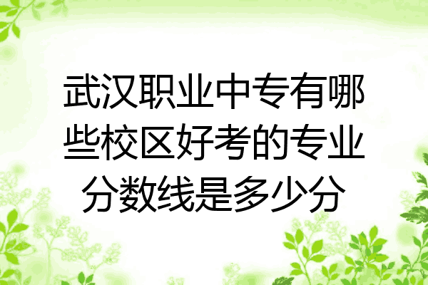 武汉职业中专有哪些校区好考的专业分数线是多少分