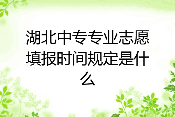 湖北中专专业志愿填报时间规定是什么