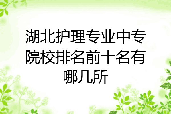 湖北护理专业中专院校排名前十名有哪几所