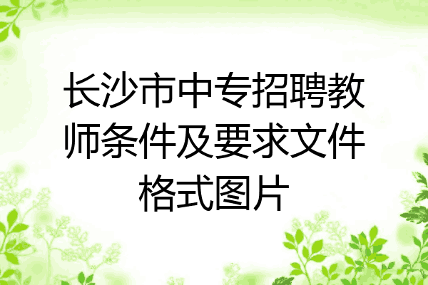 长沙市中专招聘教师条件及要求文件格式图片