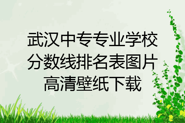 武汉中专专业学校分数线排名表图片高清壁纸下载