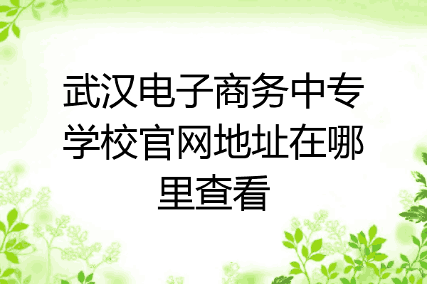 武汉电子商务中专学校官网地址在哪里查看