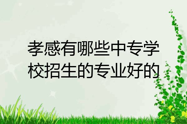 孝感有哪些中专学校招生的专业好的