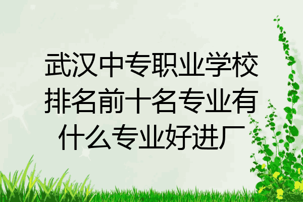 武汉中专职业学校排名前十名专业有什么专业好进厂