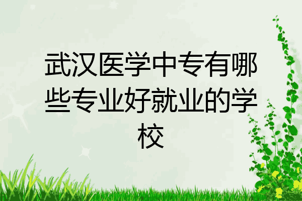 武汉医学中专有哪些专业好就业的学校