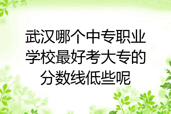 武汉哪个中专职业学校最好考大专的分数线低些呢