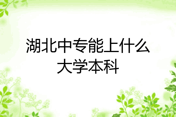 湖北中专能上什么大学本科