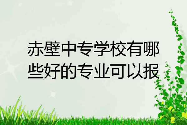 赤壁中专学校有哪些好的专业可以报