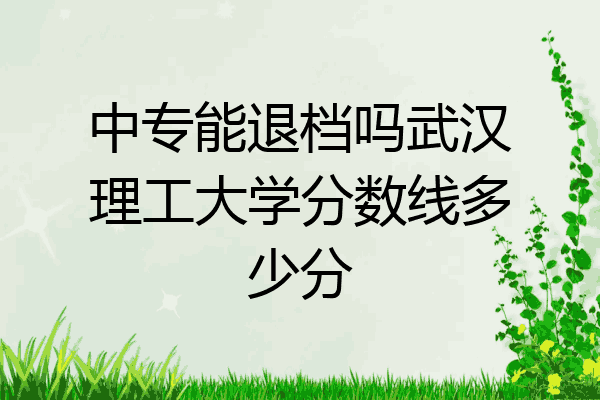 中专能退档吗武汉理工大学分数线多少分