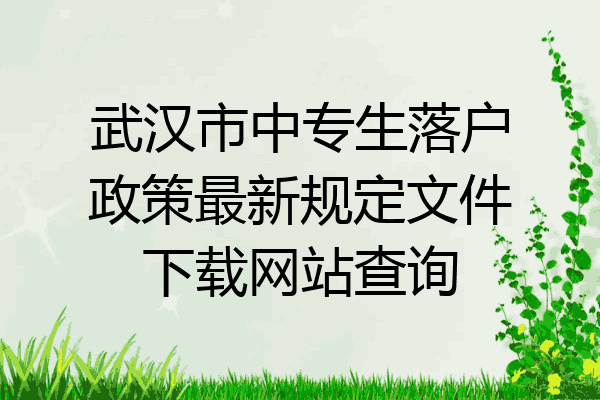 武汉市中专生落户政策最新规定文件下载网站查询