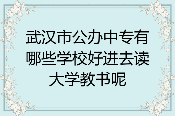 武汉市公办中专有哪些学校好进去读大学教书呢