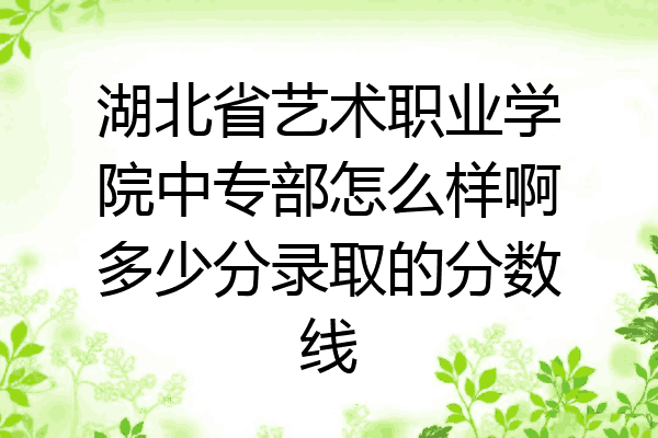 湖北省艺术职业学院中专部怎么样啊多少分录取的分数线