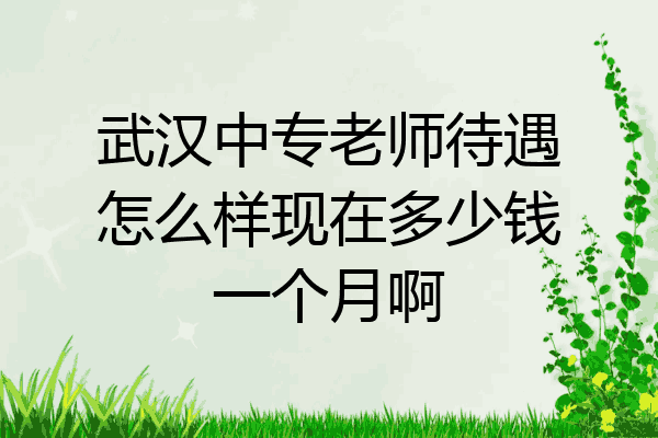 武汉中专老师待遇怎么样现在多少钱一个月啊