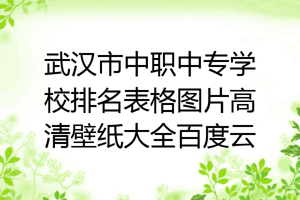 武汉市中职中专学校排名表格图片高清壁纸大全百度云