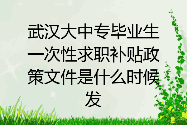 武汉大中专毕业生一次性求职补贴政策文件是什么时候发